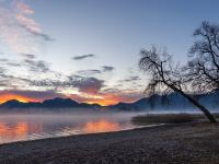 Morgenstimmung am Chiemsee mit Bäumen und Schilffeld
